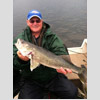 Blue cap man holding giant walleye